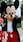 World's first Mickey Mouse character becomes copyright free! Disney loses intellectual property rights as the character enters public domain
