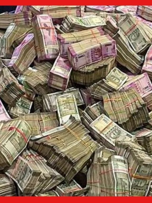 তুলসি-মানিপ্ল্যান্ট নয়, এই গাছ লাগালে ঘরে টাকা রাখার জায়গা ধরে না