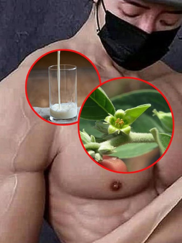 বয়স থমকে যাবে-'শক্তিমান' হবে পুরুষ, দুধে মিশিয়ে খান এই পাতা