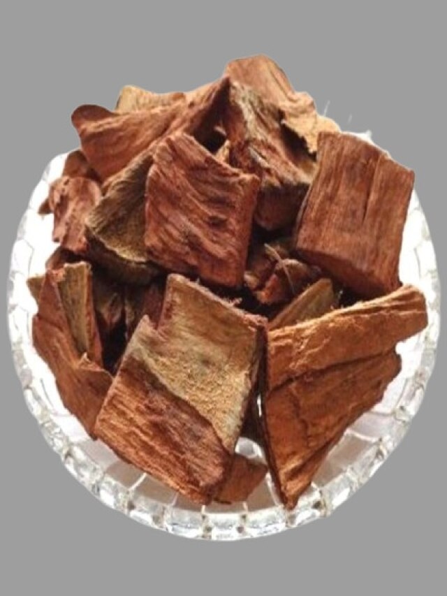 সুগার-প্রেসার ৫ কিমি দূরে থাকবে, শীতে এভাবে খান অর্জুন গাছের ছাল