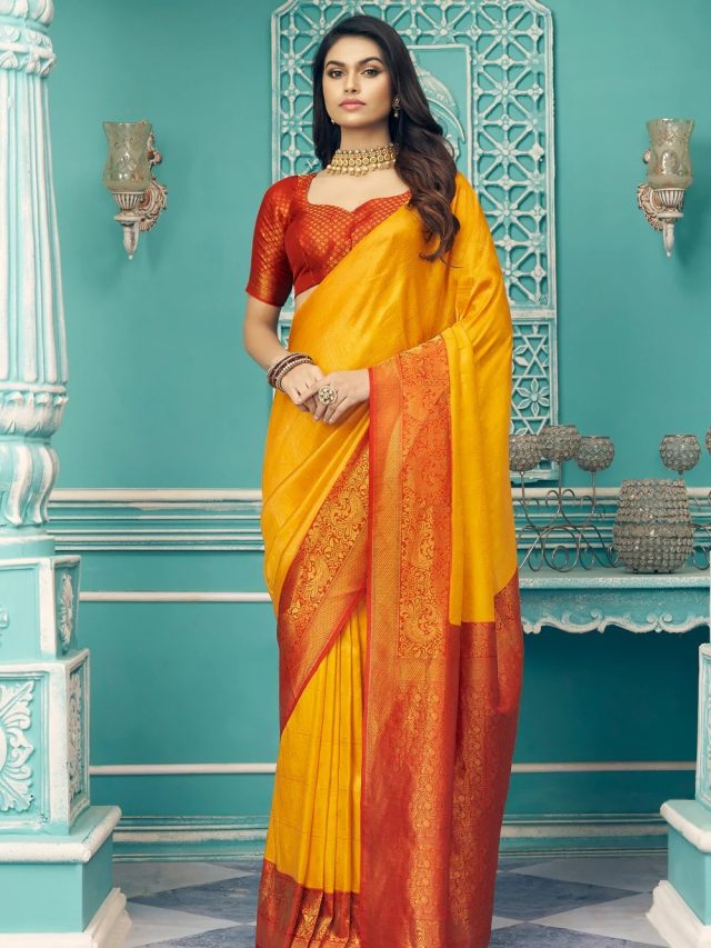 আসল কাঞ্জিভরম শাড়ি চিনবেন কীভাবে? না জানলে ঠকতে হবেই