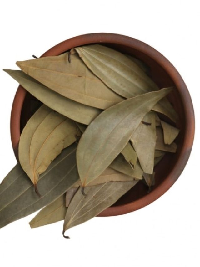 লাগবে শুধু ৪টি তেজপাতা, ৭ দিনেই লম্বা চুলে ঢাকবে টাক