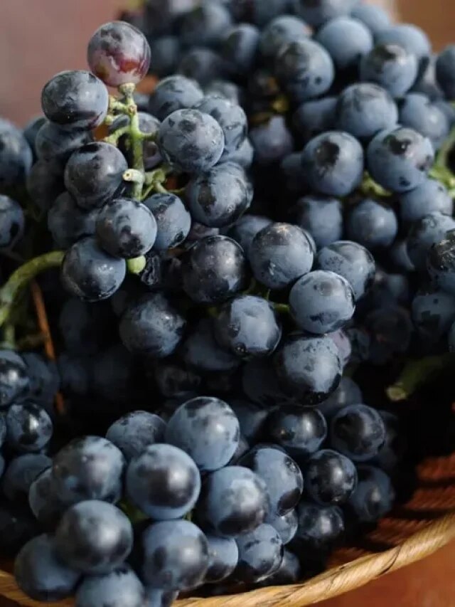 হার্টের বন্ধু কালো আঙুর, মিলবে আরও হাজার লাভ...