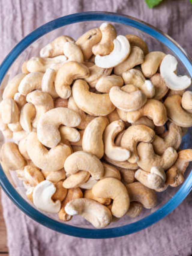 বাড়ির টবে হবে মিষ্টি সুস্বাদু কাজু, চাষের টেকনিক শিখে নিন