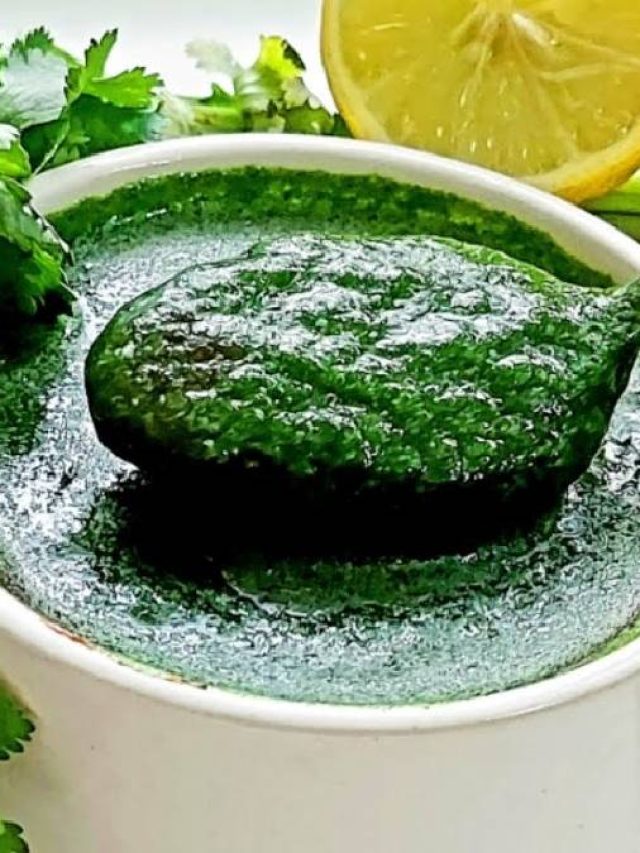 শীতের দুপুর জমবে ধনেপাতার চাটনিতে, শিলে বাটা এই চাটনি জিভে পড়লে আহা