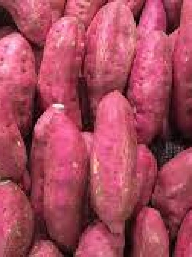 মিষ্টি আলু খেলেই কমবে ওজন, জানুন আরও উপকারিতা