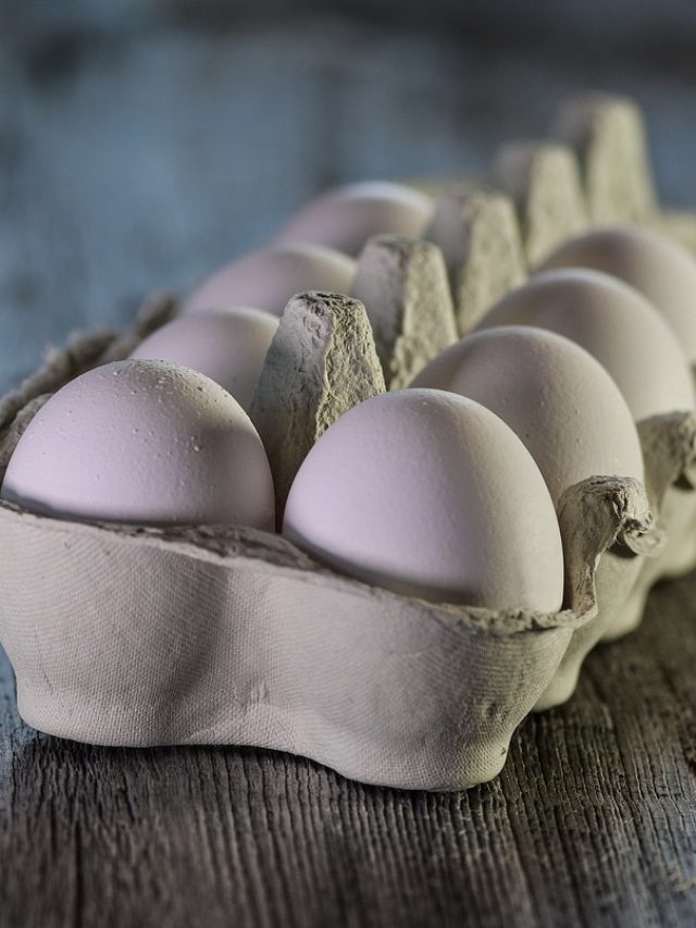 এভাবে রাখলে ১ বছর পরেও নষ্ট হবে না ডিম, ট্রাই করেই দেখুন না