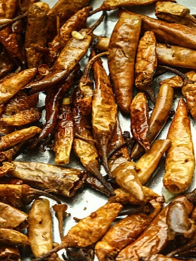 ফ্রিজে রাখলেই কাঁচা লঙ্কা শুকিয়ে যায়? নষ্ট না করে, এভাবে কাজে লাগান