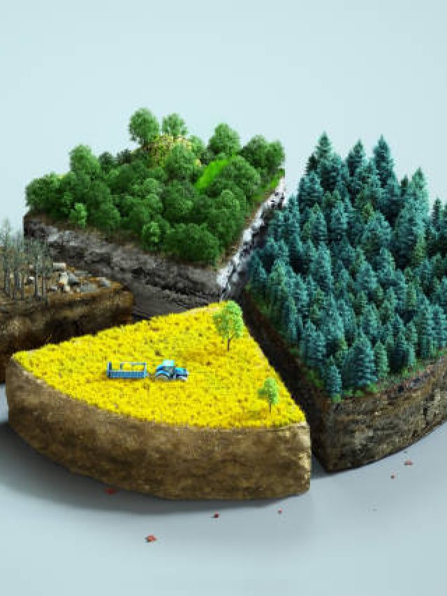 ভারতে সবচেয়ে বেশি জমি-জায়গার মালিক কে? জানলে চমকাবেন