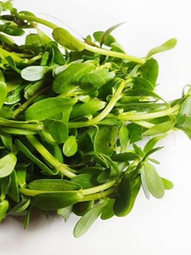 মা- ঠাকুমারা বলে স্মৃতিশক্তি প্রখর হয় এই শাকে! আপনি চেনেন?