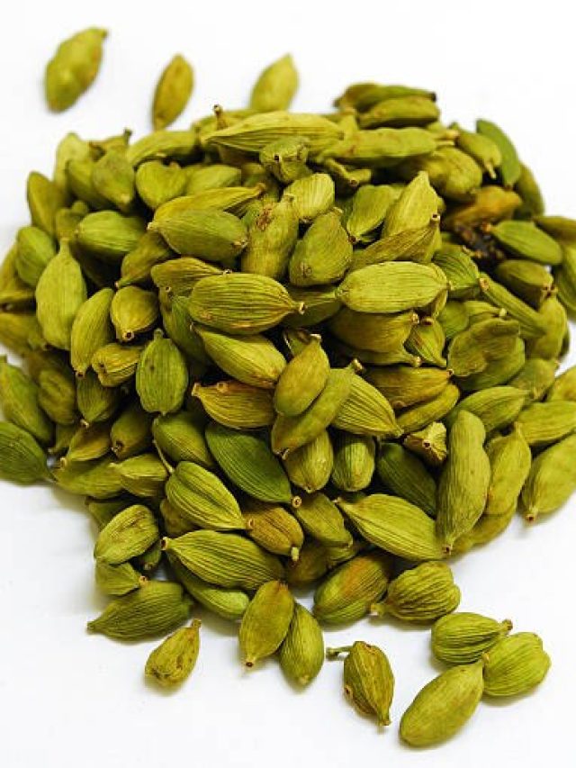 কেনার দরকার নেই, বাড়ির ছাদে হবে কিলো কিলো ছোট এলাচ, রইল টিপস