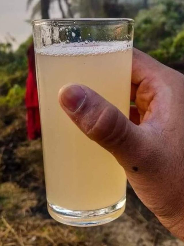 খেজুর রস ঠিক কখন খেলে বমি ও নেশা হয়? অত্যন্ত জরুরি তথ্য