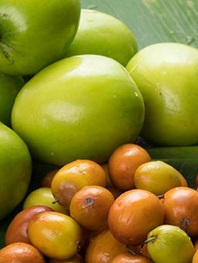 কুল তো খান তারিয়ে তারিয়ে, ইংরাজিতে কি বলে জানেন?