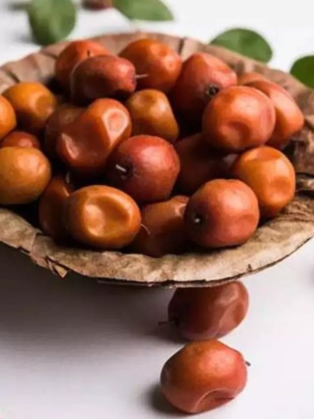 সরস্বতী পুজোর আগে খেতে নেই কুল, কারণ জানলে মুখ হাঁ হয়ে যাবে