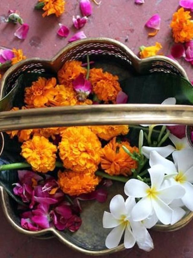 ১০ টাকার এই ফুলেই সুখের বন্যা, সোনার আশীর্বাদে ভরাবেন দেবী লক্ষ্মী