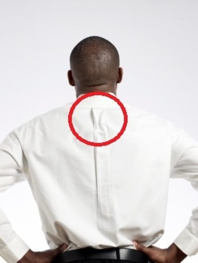 শার্টের পিছনে এরকম অংশ দেখেছেন, কী ব্যবহার জানেন?