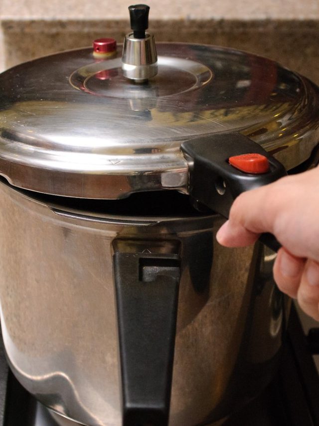 প্রেসার কুকার ফেটে দুর্ঘটনার চান্স নেই তো? এই টিপস জেনে রাখুন