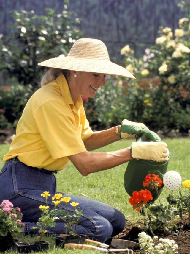 বাড়ির গাছে ফুল আসছে না? একমুঠো ভাতেই হবে সমাধান, জানুন