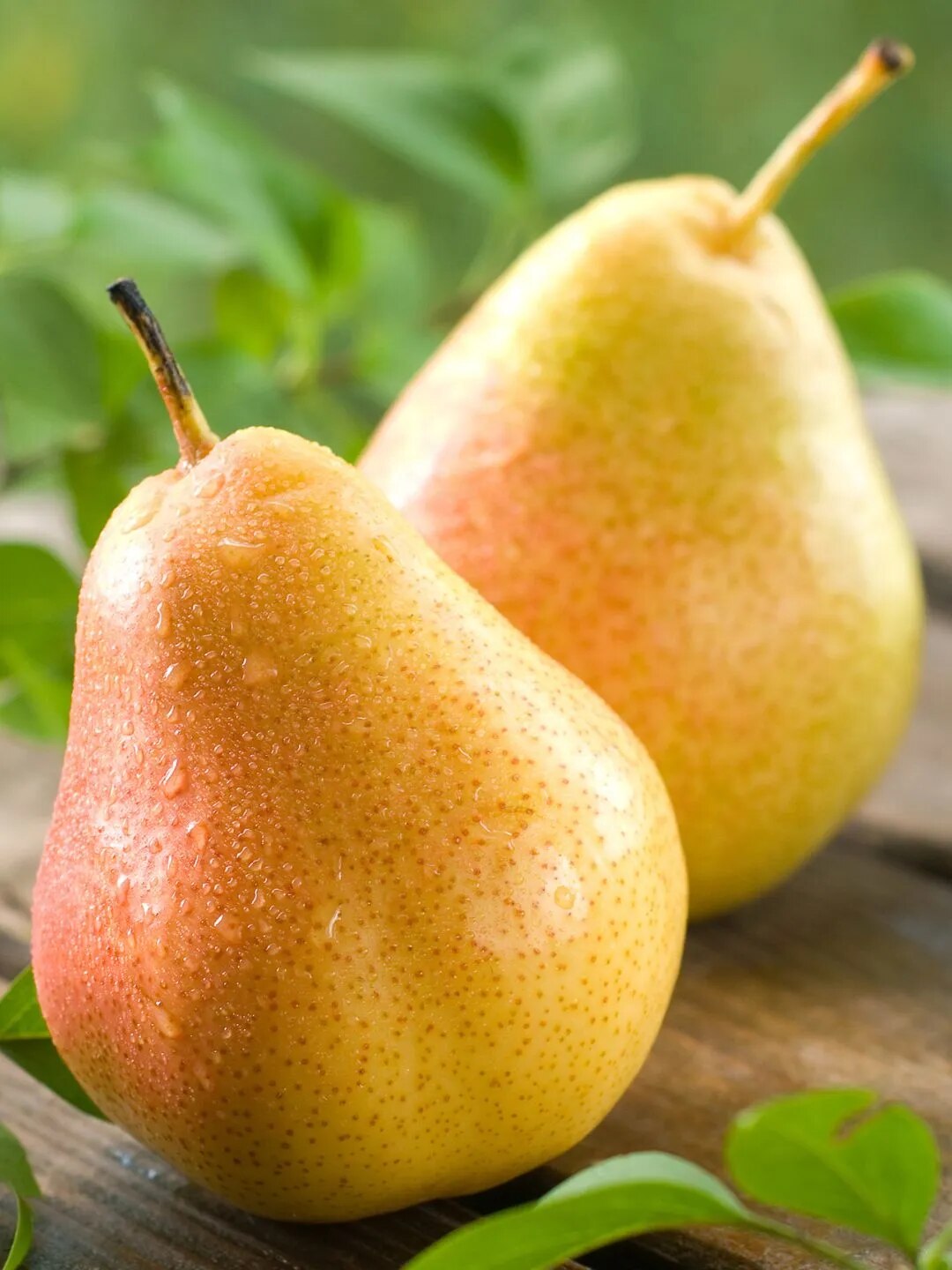 Fruit Names that Start with Letter 'P'