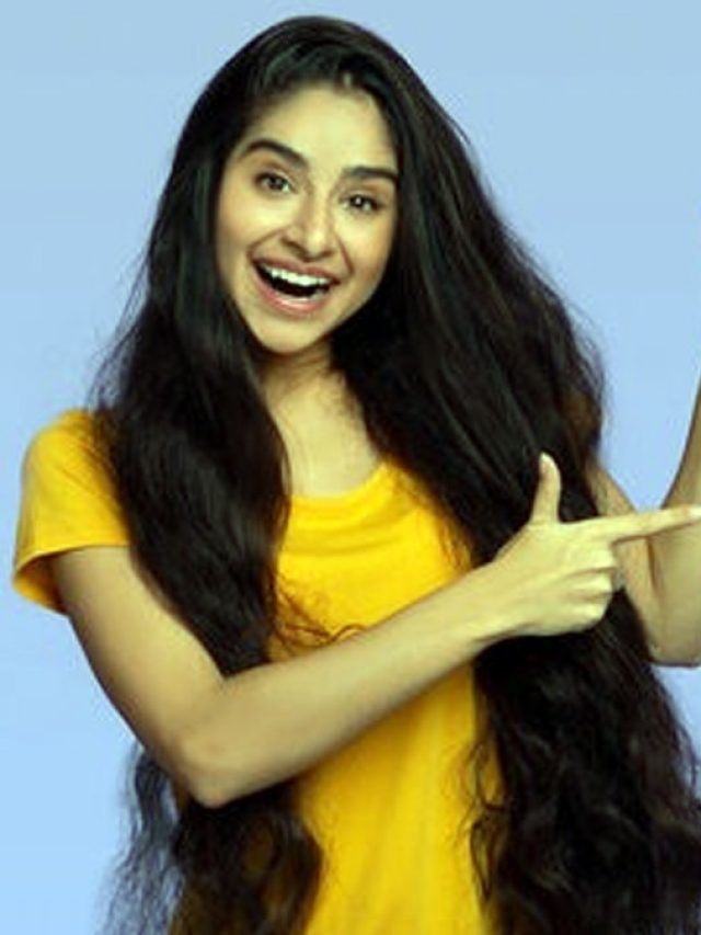 'মশা' কাকে বলে ভুলে যাবেন, ১ মিনিটে ঘর হবে মশামুক্ত