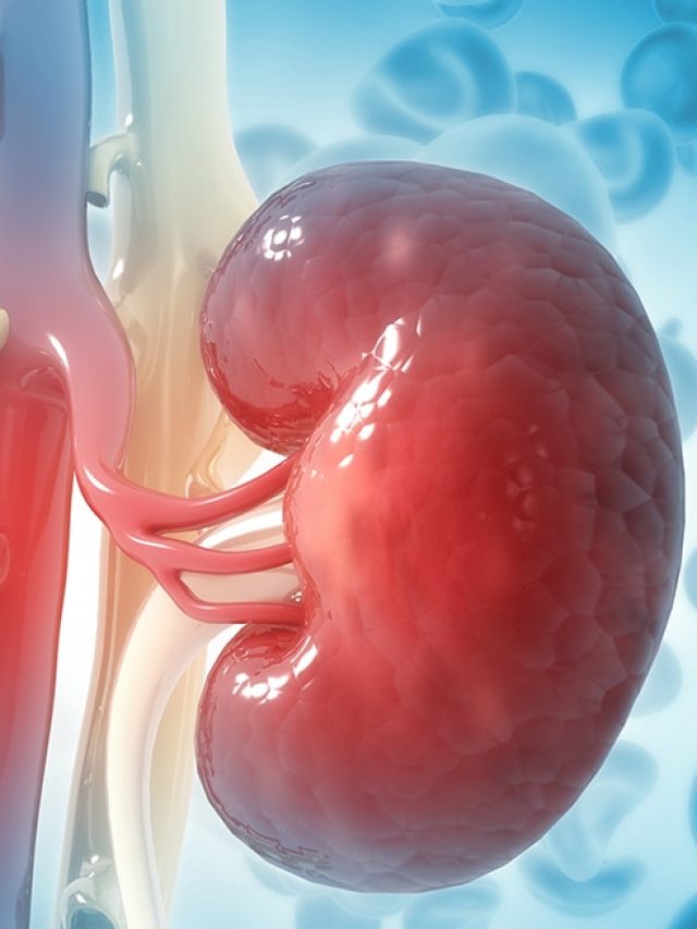 কিডনির বর্জ্য ফিল্টার করে সস্তার এই ফল, সুস্থ থাকতে অবশ্যই খান