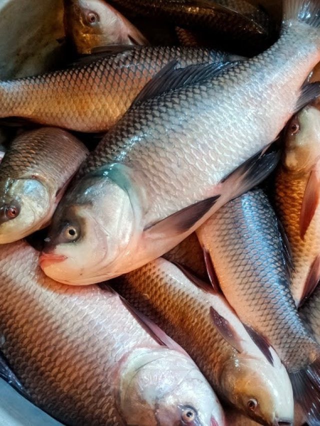 জেনে রাখুন ৯টি টিপস,  জীবনে আর কখনো মাছ কিনে ঠকবেন না