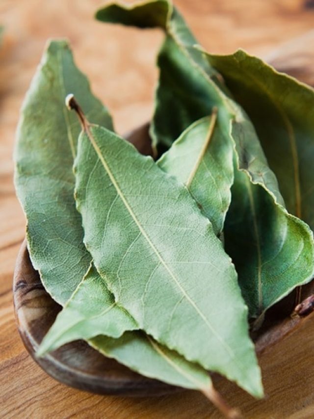 খালি পেটে ফুটিয়ে খান মাত্র ১ টা তেজপাতা! রোগ-ভোগ নিয়ে আর চিন্তা থাকবে না