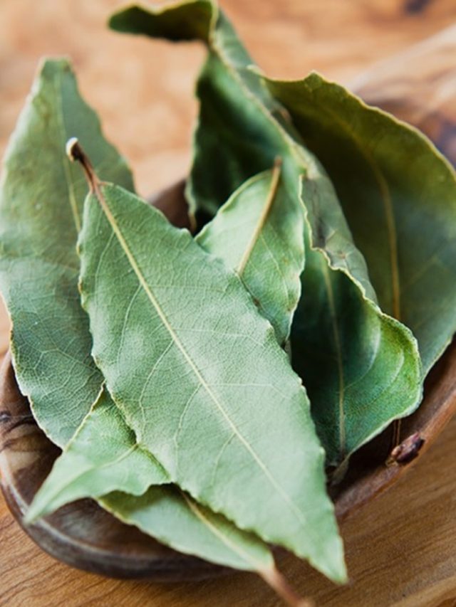 প্রচুর টাকা কামাবেন, জেনে নিন তেজপাতার এই ৫ টোটকা