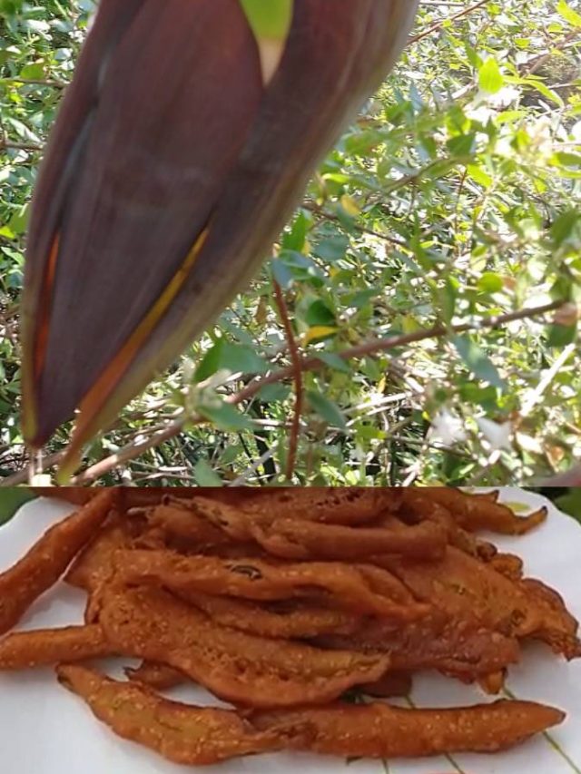 মোচা দিয়ে বানান এই দারুণ স্ন্যাকস। জমে যাবে উইকএন্ড