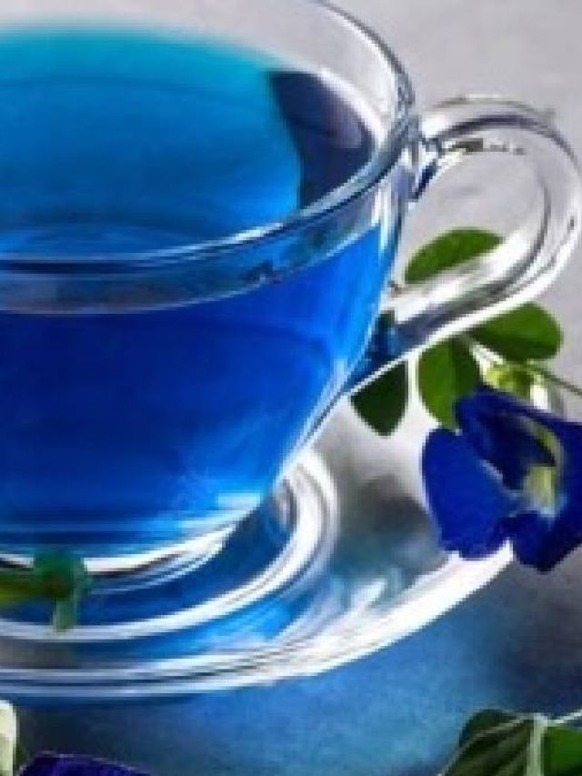 রোগ ছুঁতে পারবে না,  খান নীল চা, ঘরে  বানানোর রেসিপি জানুন