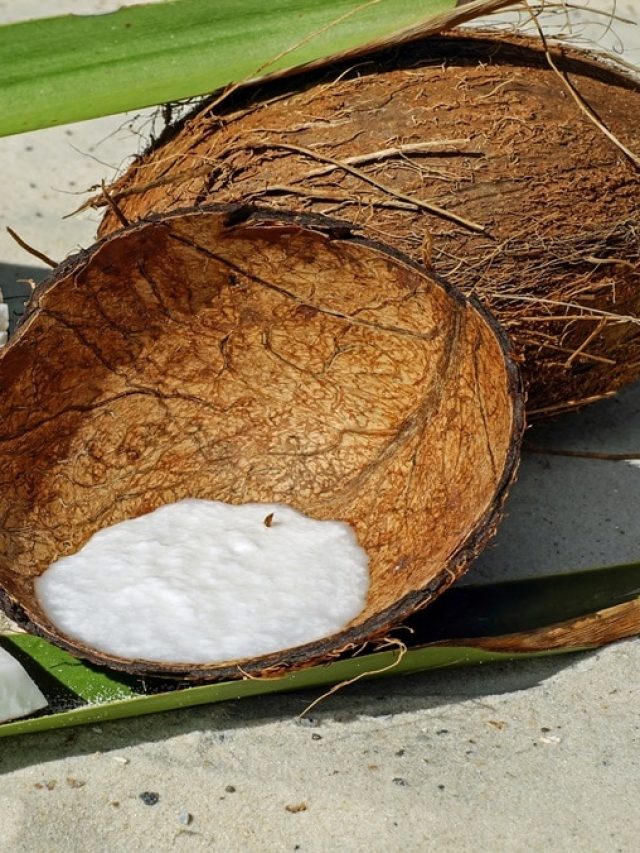 নারকেলের খোসা ছাড়ানোর এটাই সবচেয়ে সহজ কায়দা