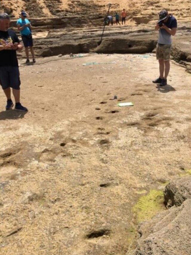 90,000 year old ancient human footprints discovered on Moroccan beach: Report