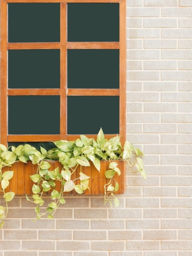 দরজায় এই জিনিসগুলি রাখলে কখনও অর্থাভাব হয় না