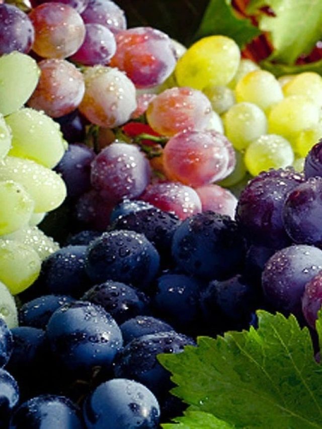 শরীর থেকে তাড়িয়ে ছাড়ে ক্যান্সারের বিষ, এই ফল খেলে কাজ হবে ম্যাজিকের মতো