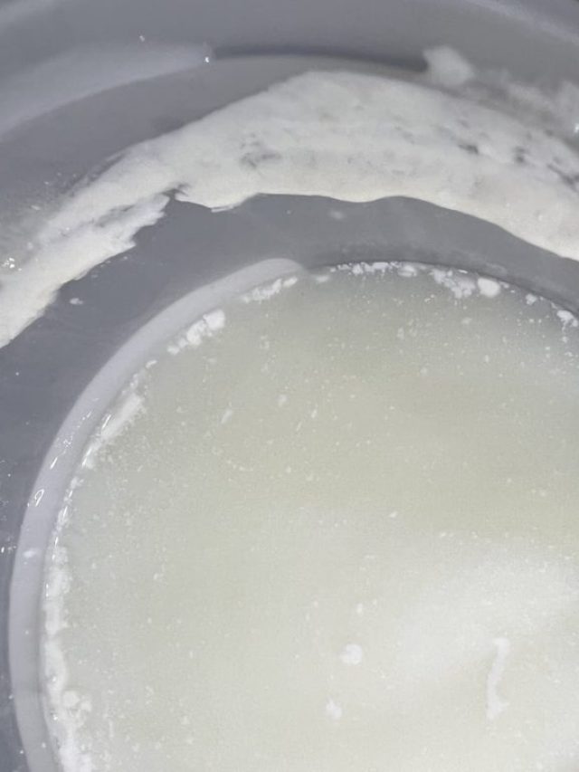 দুধ কেটে গিয়েছে? চিন্তা নেই বানিয়ে ফেলুন এই খাবার