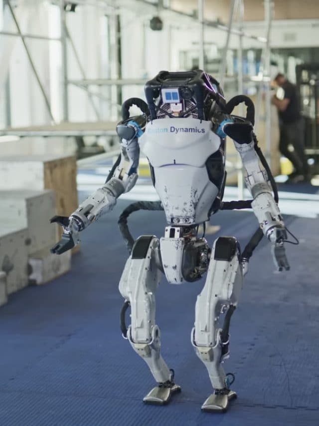 Dynamic atlas online