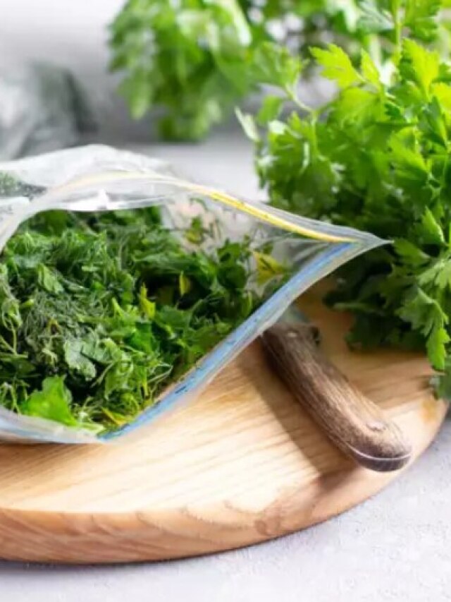 গরমেও দু'সপ্তাহ তাজা থাকবে ধনে পাতা, এই ট্রিকস জেনে নিন