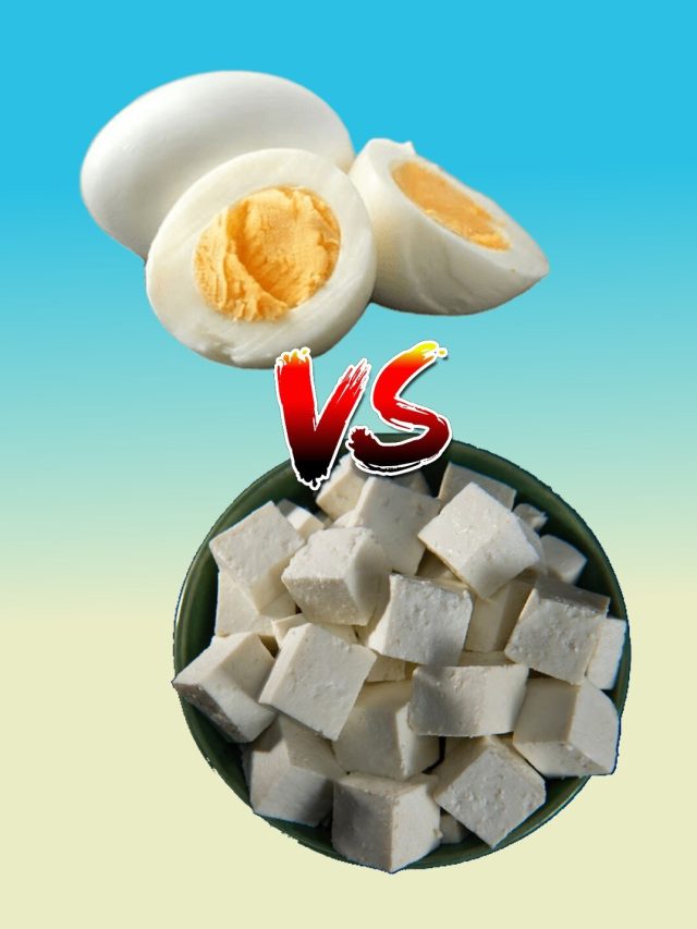 পনির না ডিম, কোনটায় প্রেটিন বেশি? অনেকেই জানেন না