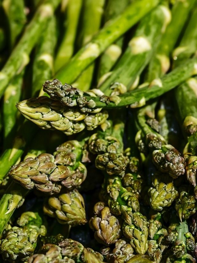 আজীবন যৌবনের রহস্য, এই এক সবজিতেই থমকে যাবে আপনার বয়স