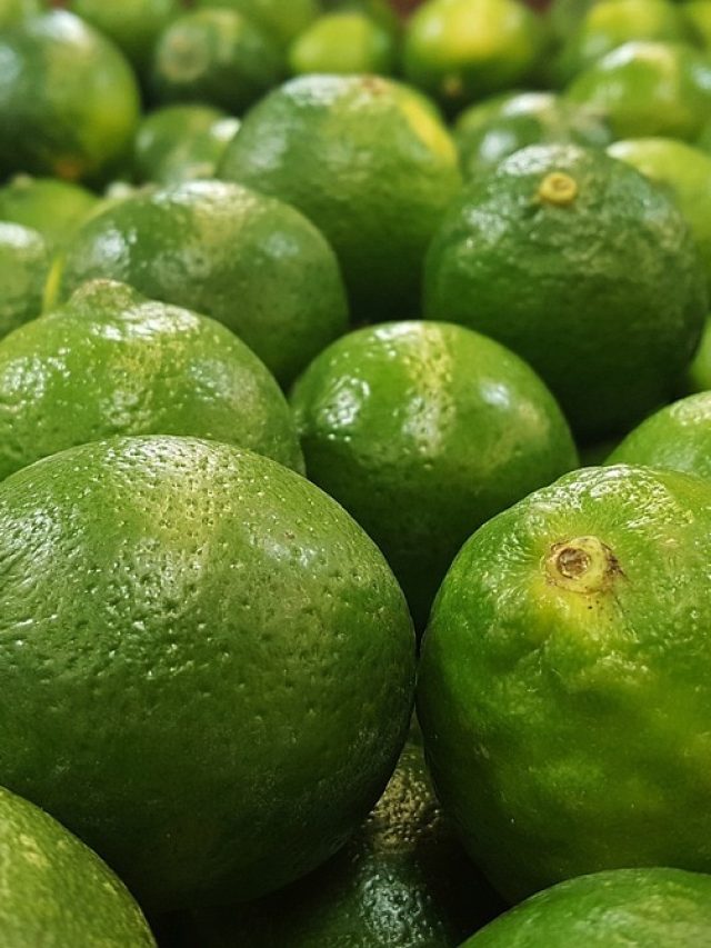 পাতিলেবু মোটেও 'পাতি' নয়, উপকার জানলে রোজ খাবেন!