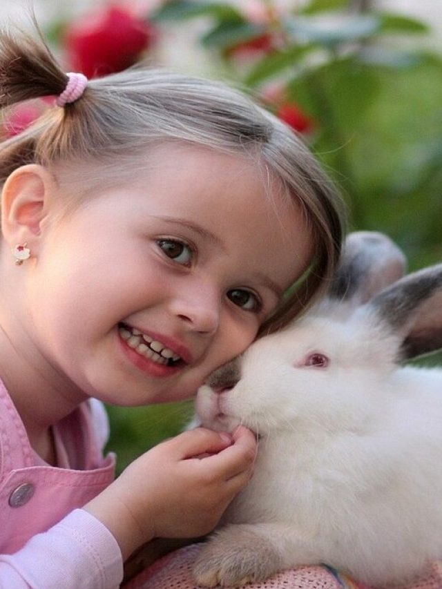 বাস্তু মেনে পোষ্য রাখুন বাড়িতে, ফিরে পাবেন হারানো সুখ- শান্তি