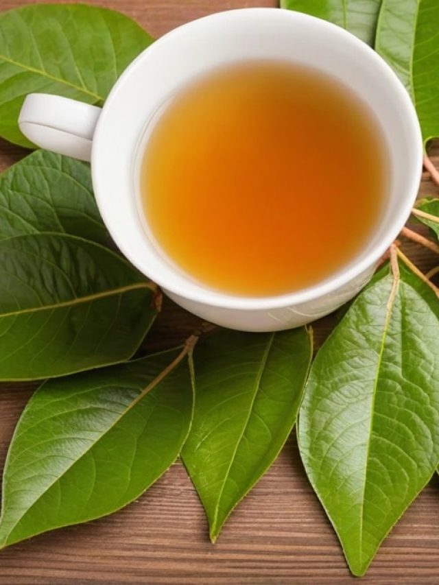 সকালের চায়ে যোগ করুন এই ১টি পাতা, ব্যস! দিনভর খেলা চলবে