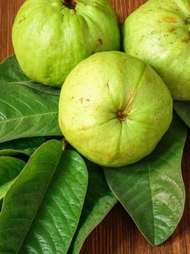 রোজ ১টি পেয়ারা খেলেই কামাল হবে! জেনে নিন গুণাগুণ