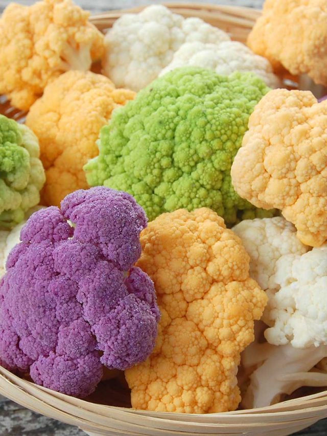 নানা রঙের ফুলকপি, কোনটিতে বেশি পুষ্টি? কী গুণ জেনে নিন