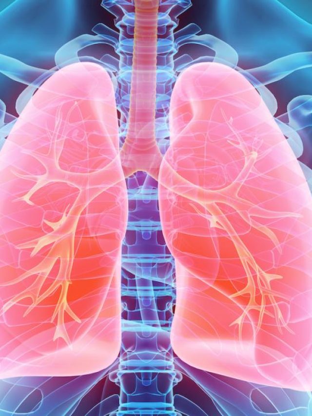 ফুসফুসের তবিয়ত থাকবে বড়িয়া, রোজের খাবারে রাখুন আদা-রসুন