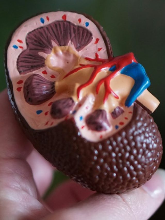 বের হয়ে যাবে  জমে থাকা বিষ, এভাবে মাত্র ৫ টাকায় ক্লিন করে নিন আপনার কিডনি