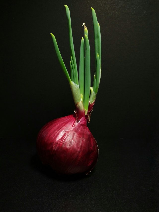 সবজি না মশলা, পেঁয়াজ আসলে কি বলুন তো?