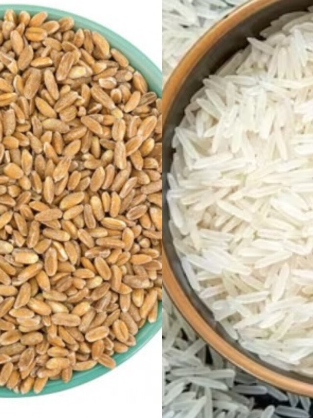 চাল-গমের ধারেকাছেও ঘেষবে না পোকা, ৫ উপায়ে তাড়ান