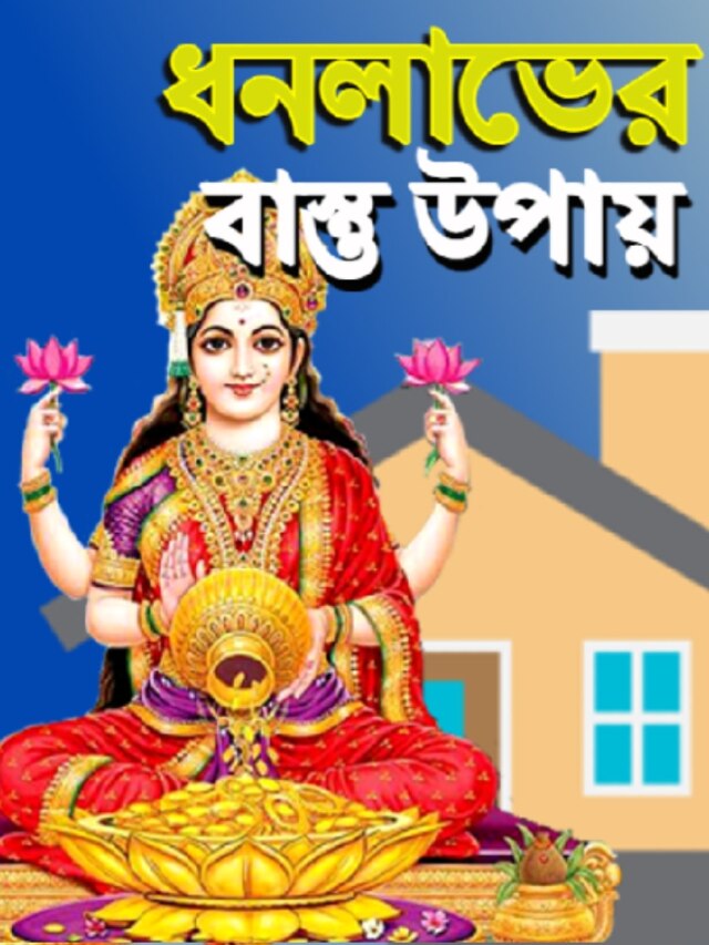 ঘরে এই ৭ জিনিস থাকলে রেগে যান লক্ষ্মী, আসে না টাকা