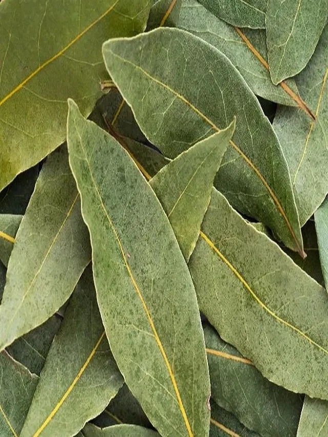 বালিশের নীচে রাখুন ২টি তেজপাতা, তারপর 'খেলা' দেখে অবাক হবেন